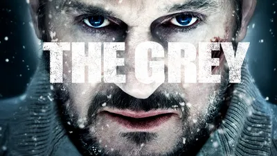 The Grey
