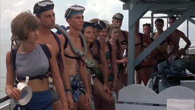 Flipper