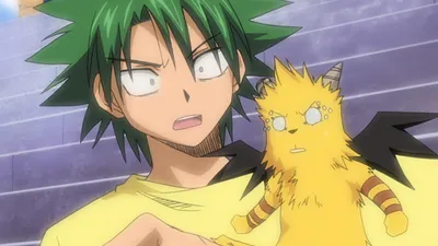 La Ley de Ueki
