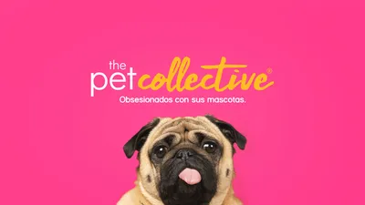 Pets vs. Everything