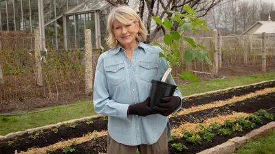 Martha Gardens
