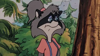 The Raccoons