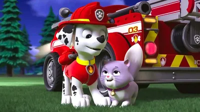 PAW Patrol