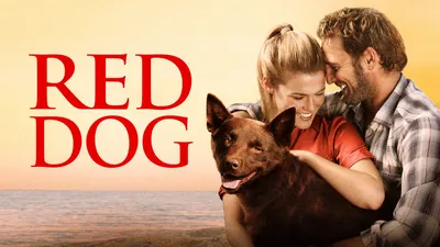 Red Dog, una historia de lealtad