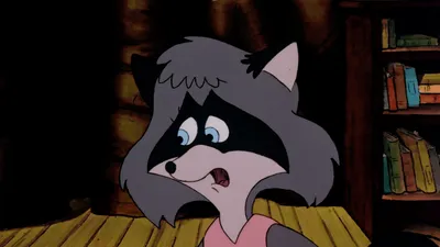 The Raccoons