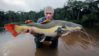 River Monsters