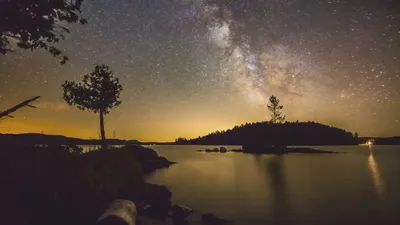 Encuentros Extraterrestres: Los Grises