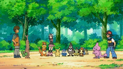 Pokémon: DP Battle Dimension