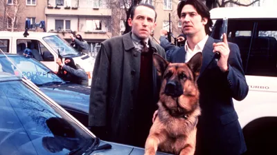 Rex, chien flic