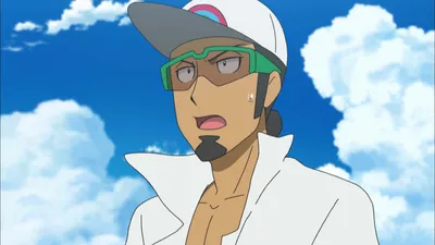 Pokémon the Series