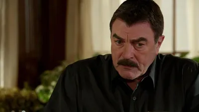 Blue Bloods
