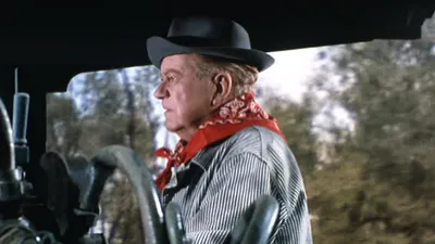 Petticoat Junction
