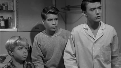 My Three Sons