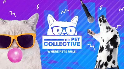 Funniest Pets of the Month