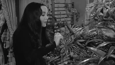 The Addams Family