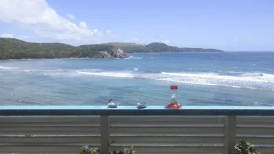 Beachfront Bargain Hunt