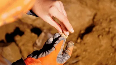 Ancient Aliens