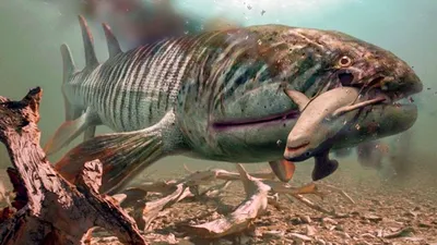 Walking with Monsters: Life Before Dinosaurs
