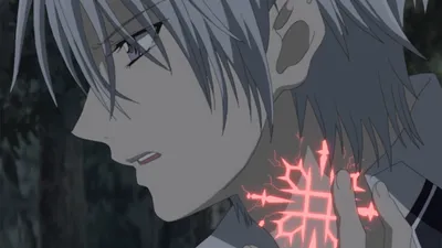 Vampire Knight (English Dubbed)