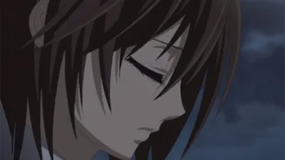 Vampire Knight (English Dubbed)