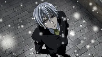 Vampire Knight (English Dubbed)