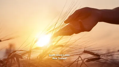 South Island Lakes: New Zealand