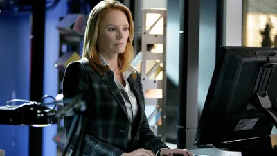 CSI: Crime Scene Investigation - Season 10 (Daytime)