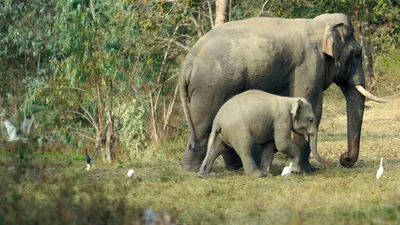 Kui Buri: Thailand's Hidden Eden