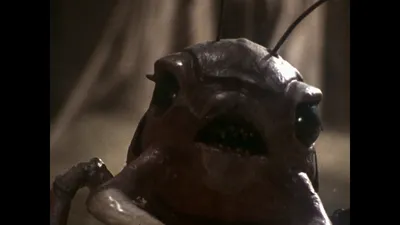 The Outer Limits