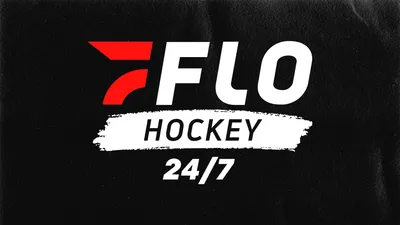 AHA Hockey: Niagara vs RIT - Men's