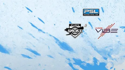 Professional Softball League